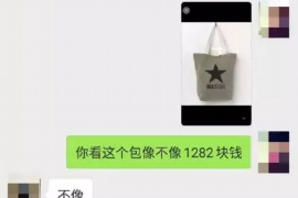 灵宝为什么选择专业追讨公司来处理您的债务纠纷？