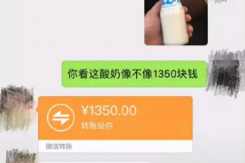 灵宝专业讨债公司，追讨消失的老赖